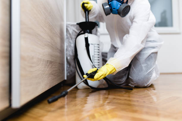 Best Pest Prevention Services  in Chadwicks, NY