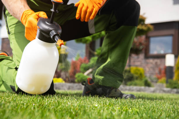 Best Residential Pest Control  in Chadwicks, NY