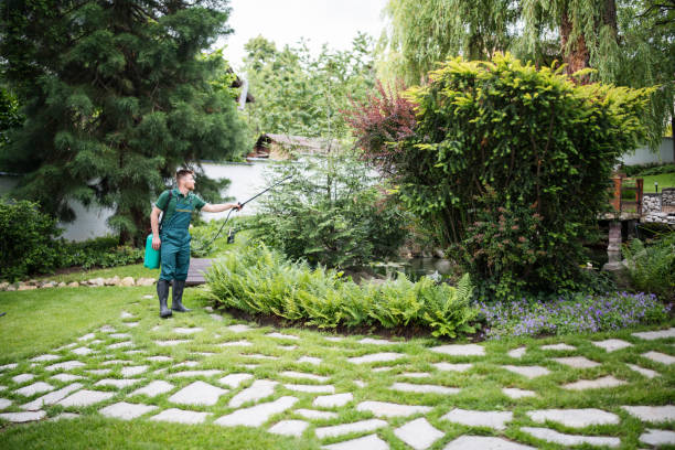 Best Local Pest Control Services  in Chadwicks, NY