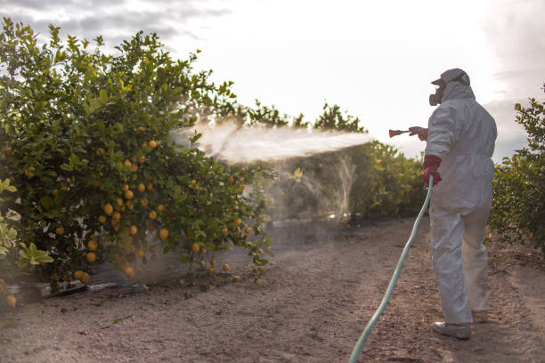 Pest Control Cost in Chadwicks, NY